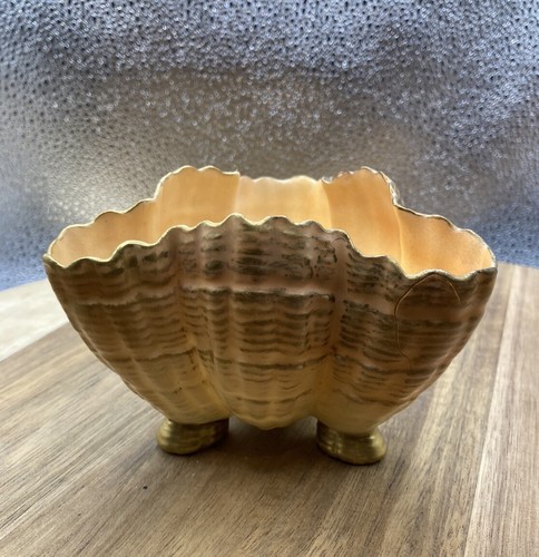 Royal worcester antique - royal,