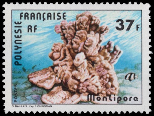 French polynesia 312 - (mi277),