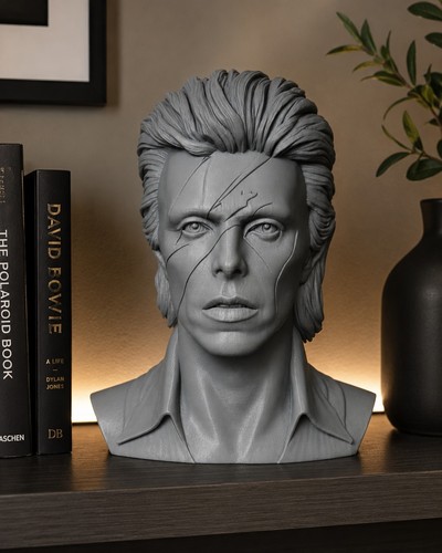 David bowie singer - david,