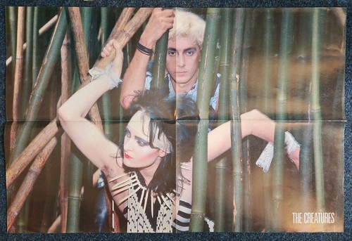 The creatures siouxsie and - the,