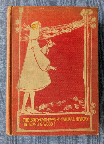 The boys own book - own, of