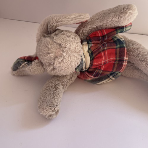 Next best friend rabbit - my,