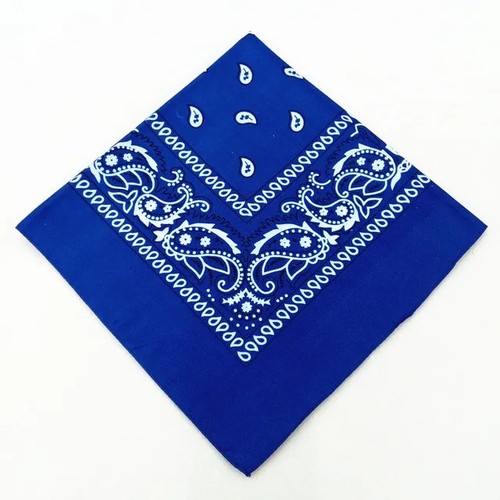 Bandana paisley print scarf - print,