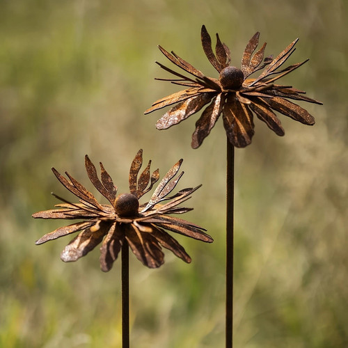Set rusty cornflower - 2,