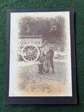 Edwardian Era Photo Of A Boy With Goats And An Vinegar Advertising Cart.