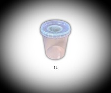 Insect tubs fruit fly stick - insect, fly,stick
