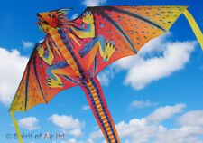 Fusion dragon single line kite