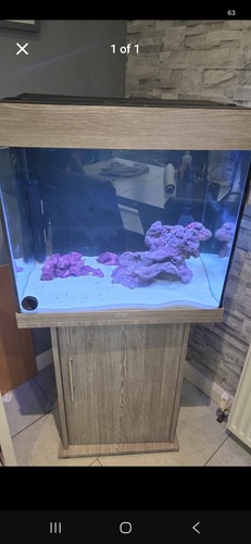 Juwel ludo 120 aquarium - aquarium, with