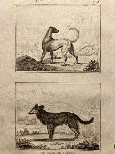 Antique illustration 1835 - antique,