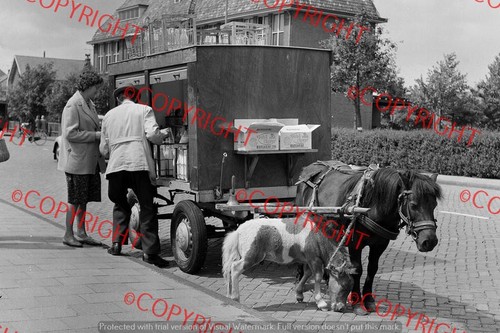 Truck photo horse drawn - truck,