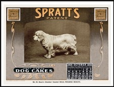CLUMBER SPANIEL  VINTAGE STYLE