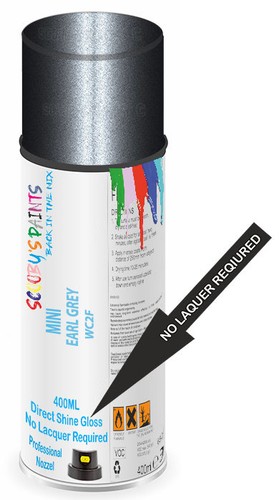 Spray paint for mini - paint,