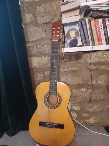 Acoustic guitar - acoustic,