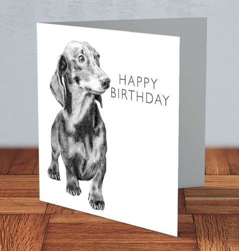 Dachshund sausage dog - , birthday