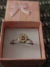 Pandora Sterling Silver Beige