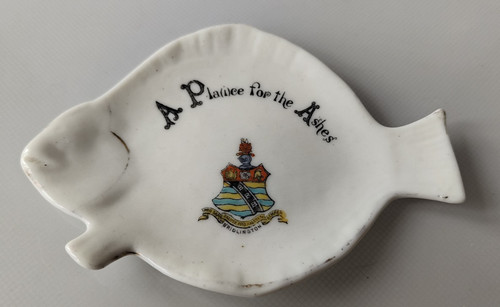 Crested china plaice fish - crested,