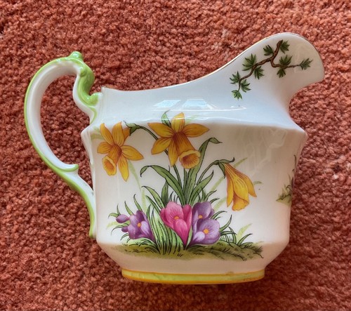 Aynsley daffodil and crocuses