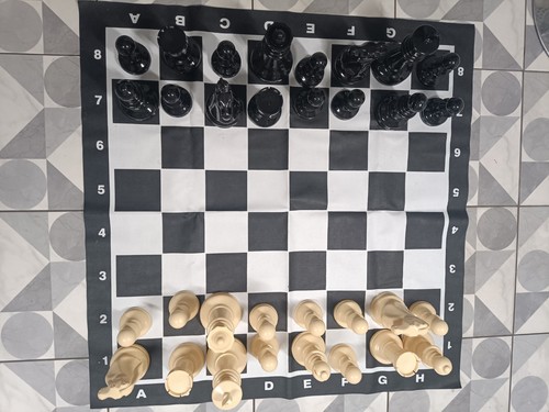 Large outdoor garden - garden, chess