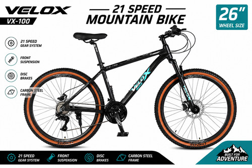 Mountain bike 21 - bike, 21-speed