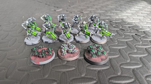 10x warriors scarabs - 3,