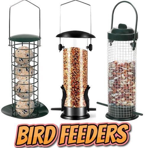 Outdoor wild bird hanging - bird, nut