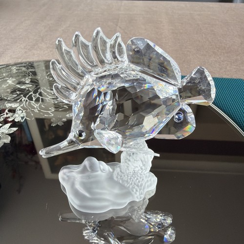 Swarovski crystal longnose - swarovski,
