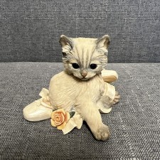 Cat kitten on ballet shoes