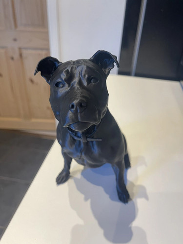 Custom printed pet model - custom,