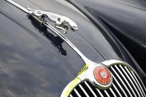 Photo 6x4 jaguar - jaguar, xk150