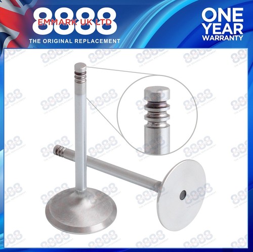 Inlet valve for - inlet, (3142h051)
