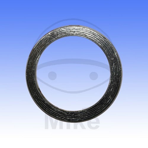 Exhaust gasket 30x38x4 - gasket,