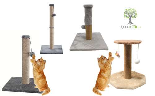 Cat scratching post - scratching,
