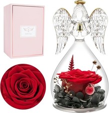 Miofula Preserved Real Rose