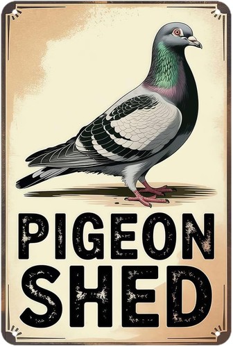 Pigeon shed tin metal - shed,