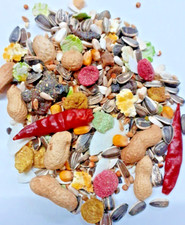 Premium Super Deluxe Parrot