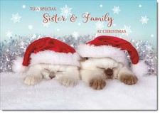 Doodlecards Sister & Family