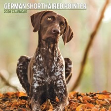 German Shorthair Pointer 2026 Traditional Calendar