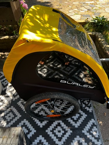 Burley bee double - burley,