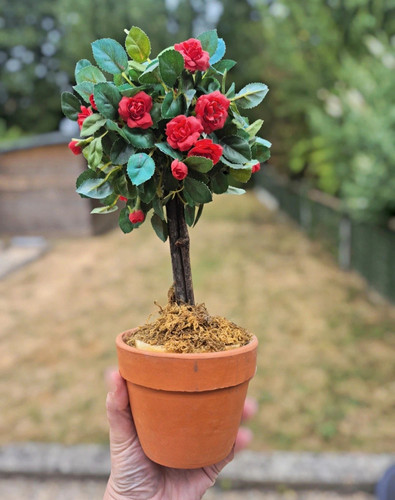 Artificial red rose - artificial,