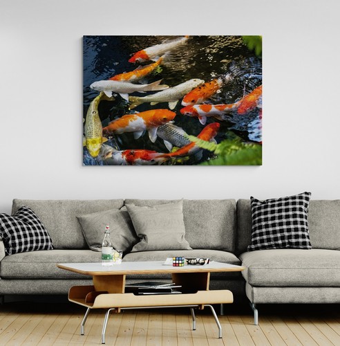 Japanese koi carp fish canvas - carp,