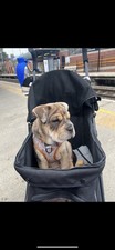 Puppy Pram