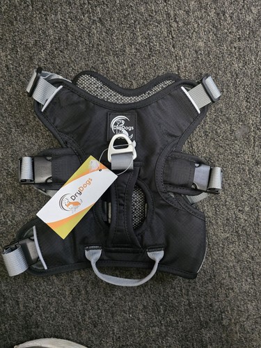Dry dogs sight - dry,