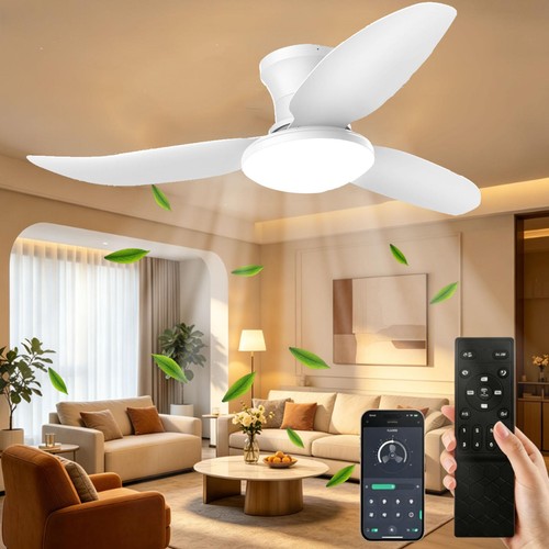 Speed led ceiling fan - ceiling,