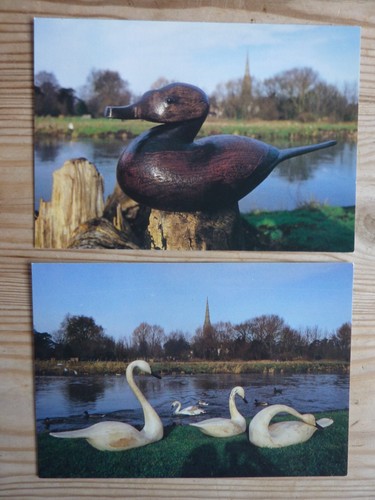 Guy taplin postcards - taplin,