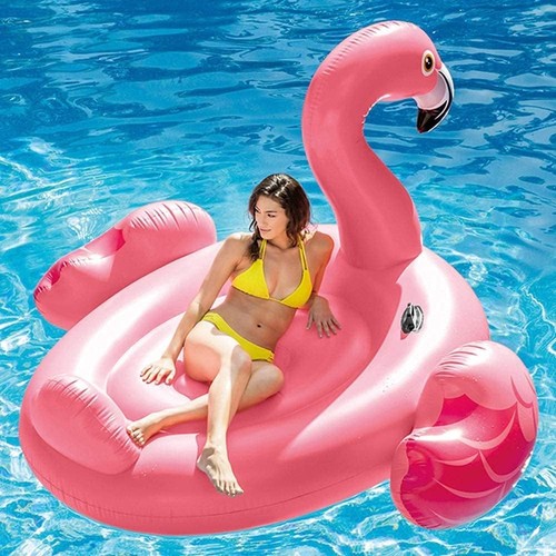 Intex giant inflatable - intex,