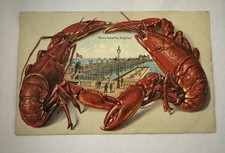 Brighton Vintage Postcard