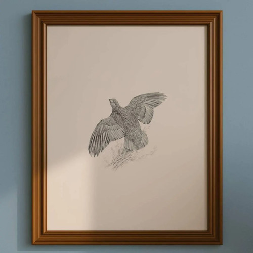 1981 red grouse - game, birds