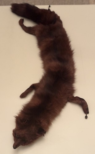 Antique real fox fur - antique, stole