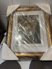 Stephen Gayford Nature Print