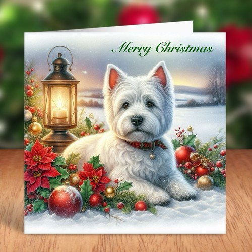 West highland white - west,
